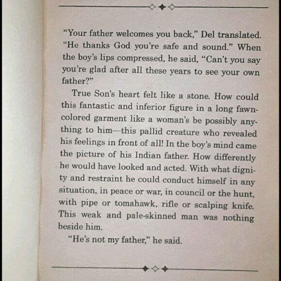 The Light in the Forest Young Adult Fiction Paperback Book - Picture 5 of 16